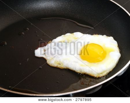 ทอดไข่