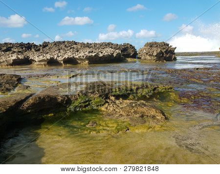 Rocky Shore At Beach With Tidepools In Isabela, Puerto Rico