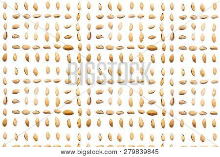 A Collection Of Peeled Almonds Badam Lie In Horizontal Rows On An Isolated White Background. With Cl