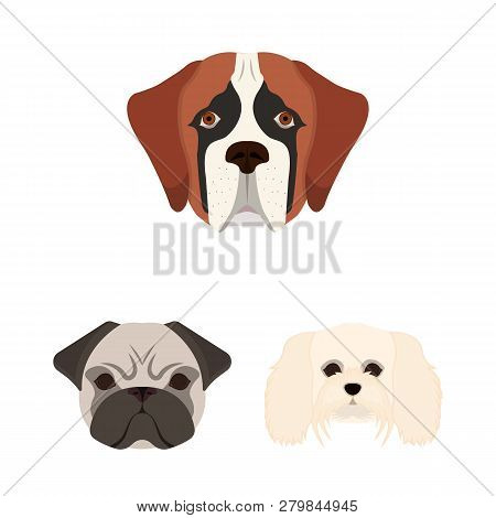 Vector Design Of Cute And Puppy Logo. Collection Of Cute And Animal Stock Vector Illustration.