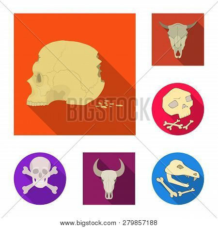 Vector Design Of Skeleton And Character Logo. Set Of Skeleton And Halloween Vector Icon For Stock.