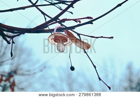 Someone Lost, And Someone Hung On The Tree Dummy, Comforter,