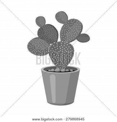 Vector Illustration Of Cactus And Pot Icon. Set Of Cactus And Cacti Vector Icon For Stock.
