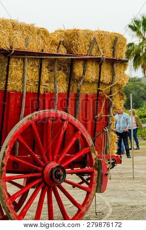 Almayate, Spain - April 21, 2018 Traditional Andalusian Contest Based On The Presentation Of The Abi