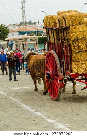 Almayate, Spain - April 21, 2018 Traditional Andalusian Contest Based On The Presentation Of The Abi