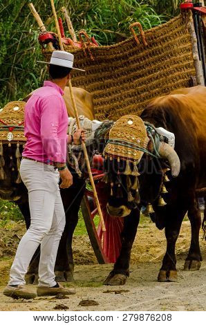 Almayate, Spain - April 21, 2018 Traditional Andalusian Contest Based On The Presentation Of The Abi