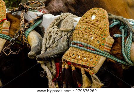 Almayate, Spain - April 21, 2018 Traditional Andalusian Contest Based On The Presentation Of The Abi