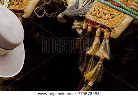 Almayate, Spain - April 21, 2018 Traditional Andalusian Contest Based On The Presentation Of The Abi