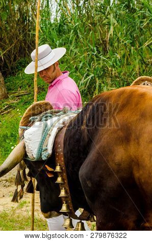 Almayate, Spain - April 21, 2018 Traditional Andalusian Contest Based On The Presentation Of The Abi