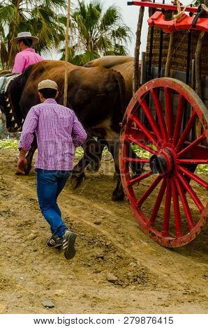 Almayate, Spain - April 21, 2018 Traditional Andalusian Contest Based On The Presentation Of The Abi