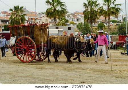 Almayate, Spain - April 21, 2018 Traditional Andalusian Contest Based On The Presentation Of The Abi