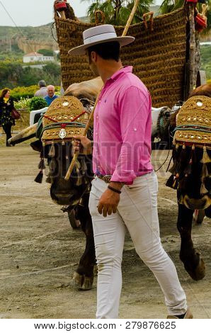 Almayate, Spain - April 21, 2018 Traditional Andalusian Contest Based On The Presentation Of The Abi