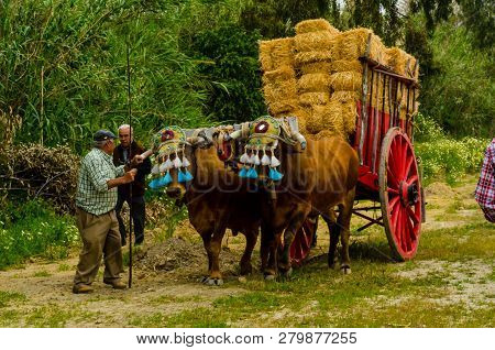 Almayate, Spain - April 21, 2018 Traditional Andalusian Contest Based On The Presentation Of The Abi