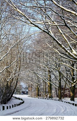 Snow In The City Park Of Groningen. The Netherlands