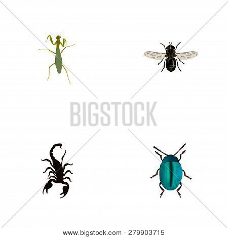 Set Of Bug Realistic Symbols With Insect, Scorpion, Mantis And Other Icons For Your Web Mobile App L