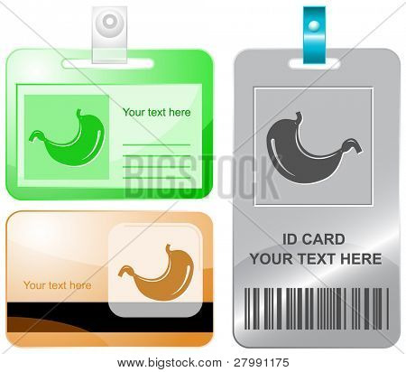 กระเพาะอาหาร บัตรประชาชนแบบเวกเตอร์