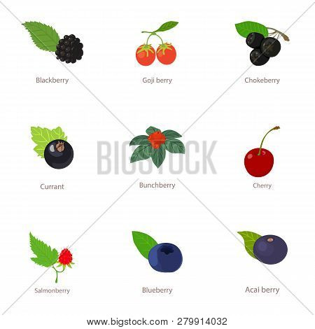 Berry Business Icons Set. Cartoon Set Of 9 Berry Business Icons For Web Isolated On White Background