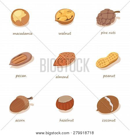 Nutwood Icons Set. Isometric Set Of 9 Nutwood Icons For Web Isolated On White Background