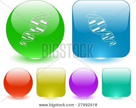 DNA. Vector interface element.