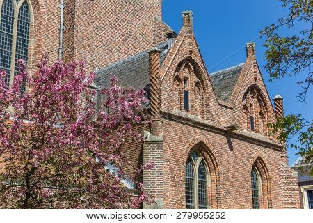 Spring Blossom And Church In Hasselt, Netherlands