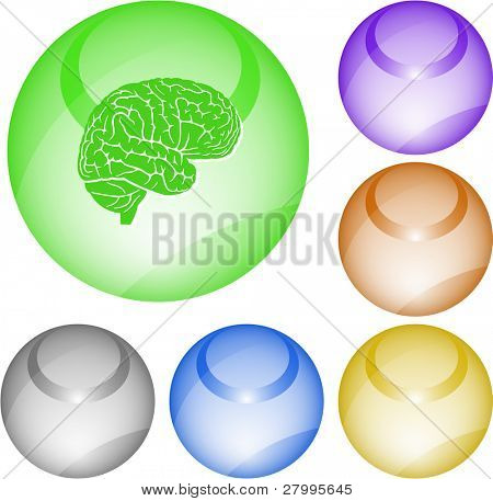 Brain. Vector interface element.