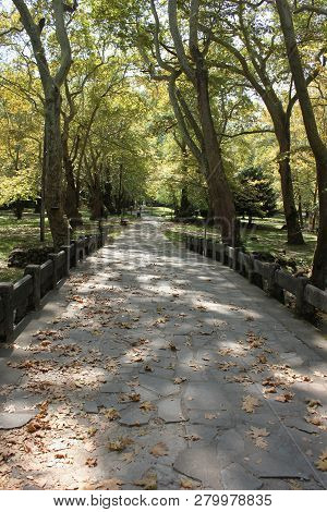 Agios Nikolaos Park Near Naousa Greece Europe