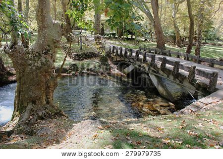 Agios Nikolaos Park Near Naousa Greece Europe