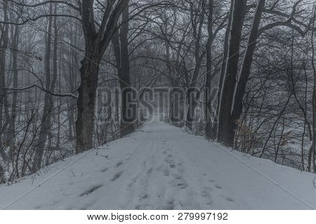 Frosty Path With Mist And Snow In Dark White Winter Day Near Spa Town Kynzvart