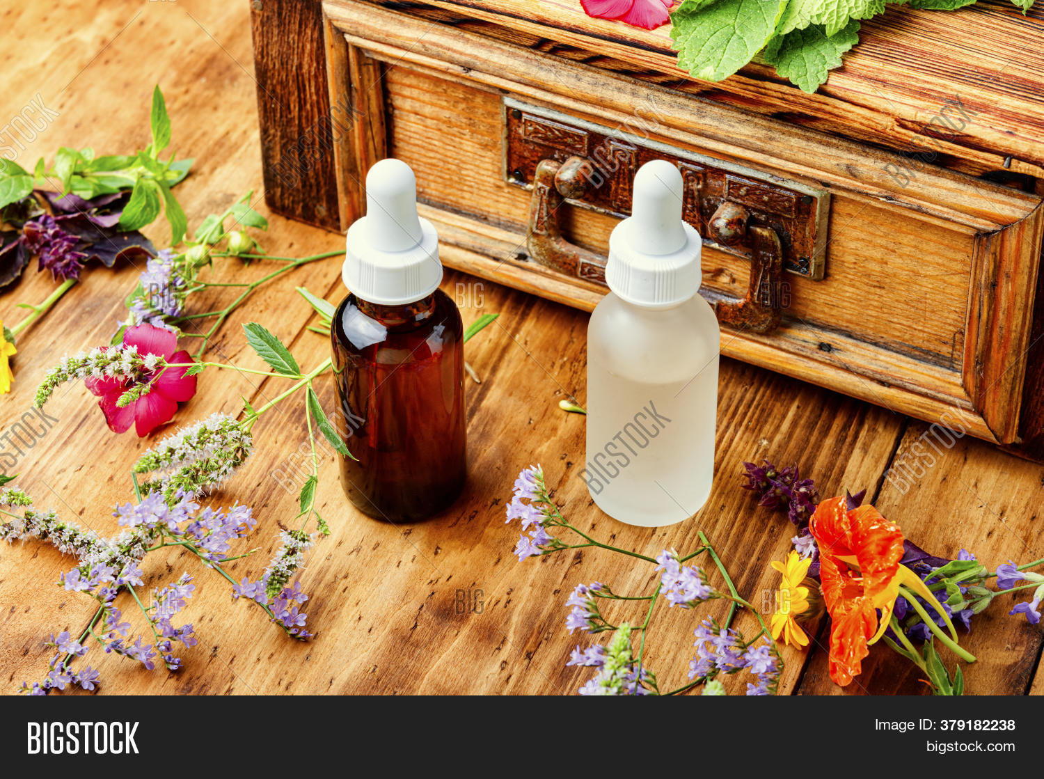Essential Oils Herbs Image & Photo (Free Trial) Bigstock