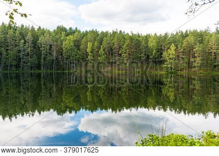 Wonderful Nature. Devil's Lake In Latgale, Latvia. Beautiful Lake In A Pine Trees Forest, With Green
