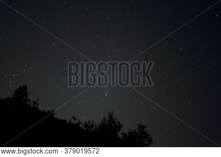 The Starry Sky At Night And The Neowise 2020 Comet With Silhouette Of Trees