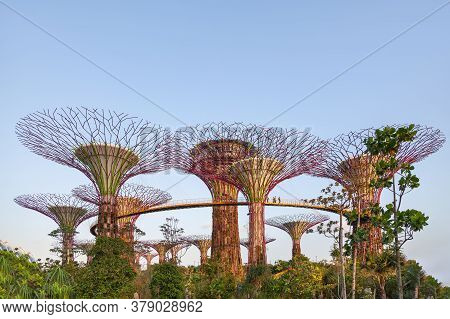 Singapore, Singapore - January 17, 2013. Decorative Towers In Shape Of Tree With Foliage With Telphe