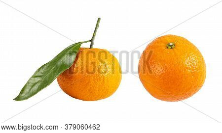 Mandarin With Green Branch Isolated On White Background. Juicy And Fresh Mandarine Isolated Over Whi
