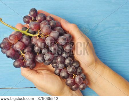 A Bunch Of Grapes In Womens Hands On A Blue Background. Proper Nutrition. Lifestyle. Close-up.