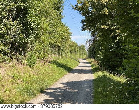 Recreational Trails Along The Glatt River And Past Small Lakes Or Ponds - Zürich (zuerich Or Zurich)