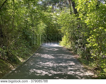 Recreational Trails Along The Glatt River And Past Small Lakes Or Ponds - Zürich (zuerich Or Zurich)