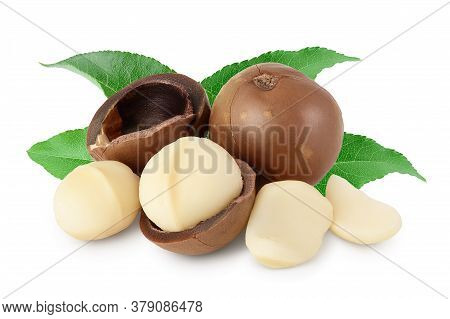 Macadamia Nuts Isolated On White Background With Clipping Path And Full Depth Of Field