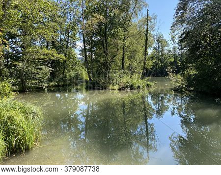 A Summer Landscape With Trees Along Small Lakes Or Ponds Along The Glatt River - Zürich (zuerich Or 