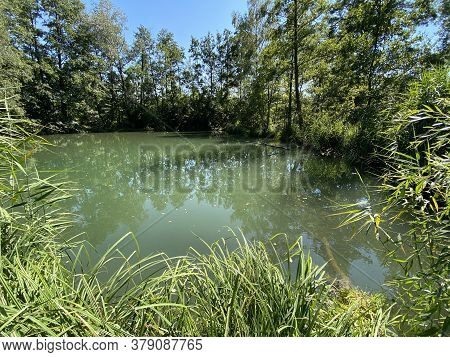 A Summer Landscape With Trees Along Small Lakes Or Ponds Along The Glatt River - Zürich (zuerich Or 