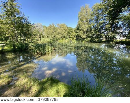 A Summer Landscape With Trees Along Small Lakes Or Ponds Along The Glatt River - Zürich (zuerich Or 