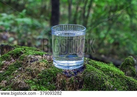 Glass Of Clean Fresh Water On Tree Stump With Moss Against Green Natural Background. Spring Ecologic