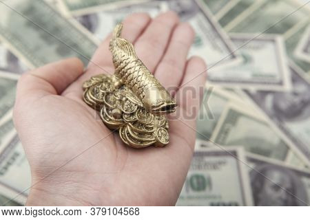 Image Of Fish Hand Money Background Studio