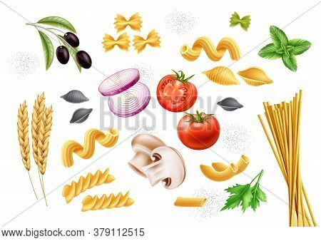 Vector Conchiglie Pasta Tomato Basil Mushroom Set