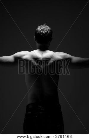 Muscular costas