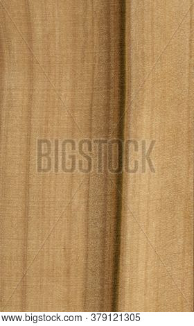Ash Rowan Wood Tree Pattern Samples Natural Rural Timber