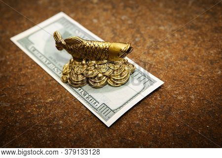 Image Of Fish Money Stone Background Day Light