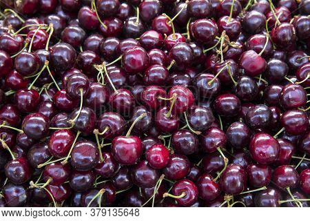 Close Up Of Pile Of Ripe Cherries With Stalks And Leaves. Large Collection Of Fresh Red Cherries. Ri
