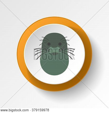 Seal Color Icon. Elements Of Winter Wonderland Multi Colored Icons. Premium Quality Graphic Design I