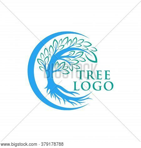 Tree. Tree Logo. Tree Logo vector. Tree icon vector. Tree icon. Tree Logo Vector. Decorative Tree Logo. Tree Logo design. Tree Logo vector. Tree Logo icon vector. Tree Sign. Tree Symbol. Abstract Tree logo vector design template illustration.