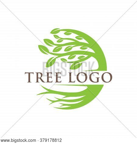 Tree. Tree Logo. Tree Logo vector. Tree icon vector. Tree icon. Tree Logo Vector. Decorative Tree Logo. Tree Logo design. Tree Logo vector. Tree Logo icon vector. Tree Sign. Tree Symbol. Abstract Tree logo vector design template illustration.